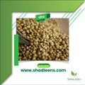 Coriander Seeds/ধনিয়া