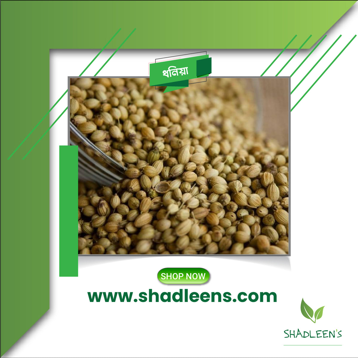 Coriander Seeds/ধনিয়া