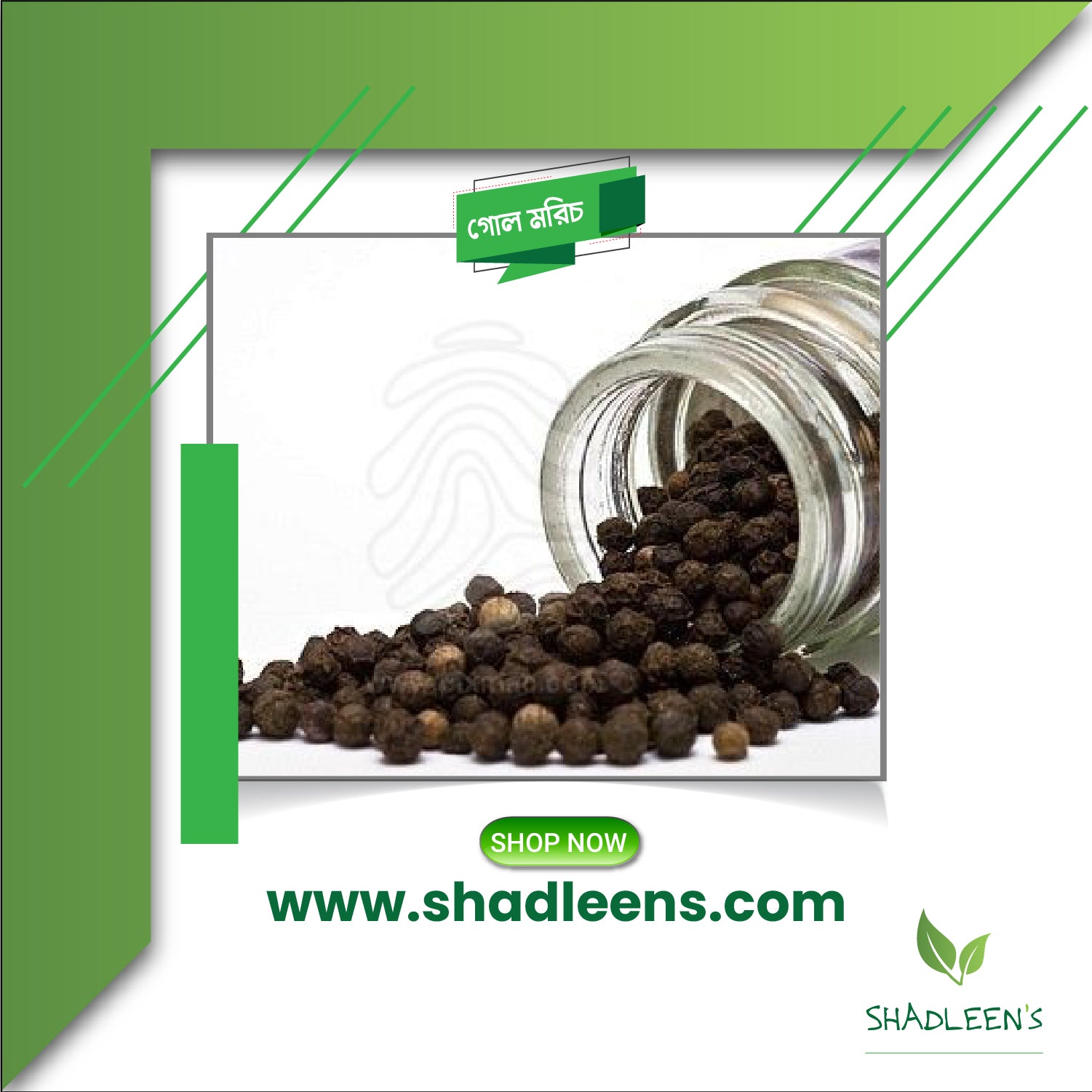 Black Pepper /গোলমরিচ