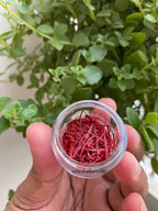 Premium Kashmiri Saffron