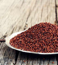 Finger Millet (Ragi)