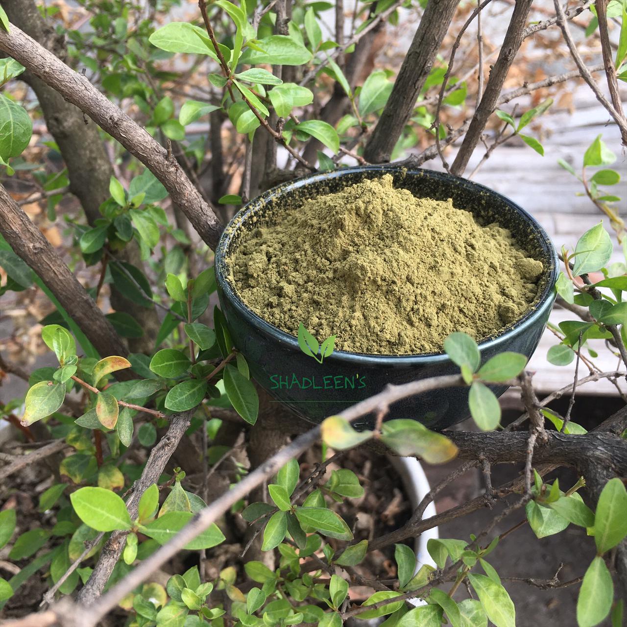 Organic Henna Powder 100g
