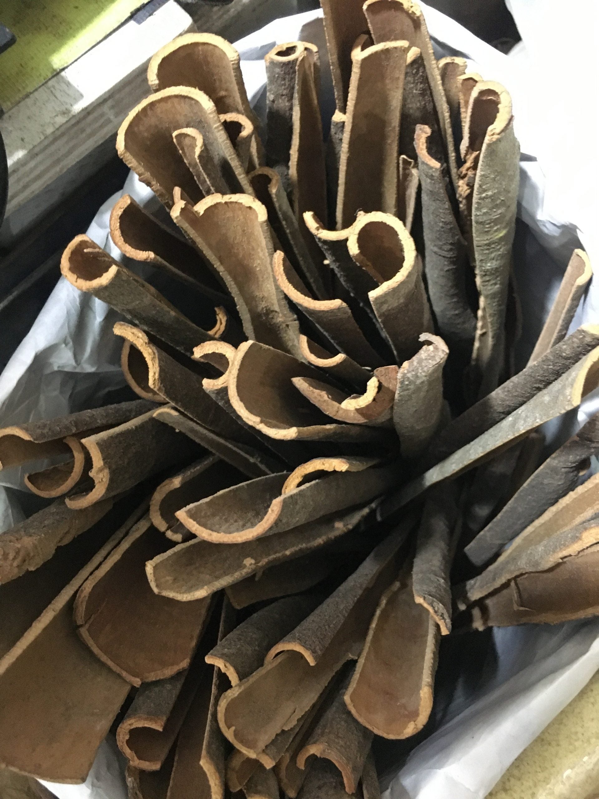 Classic Cinnamon / দারচিনি