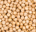 Chickpeas (কাবুলি ছোলা)