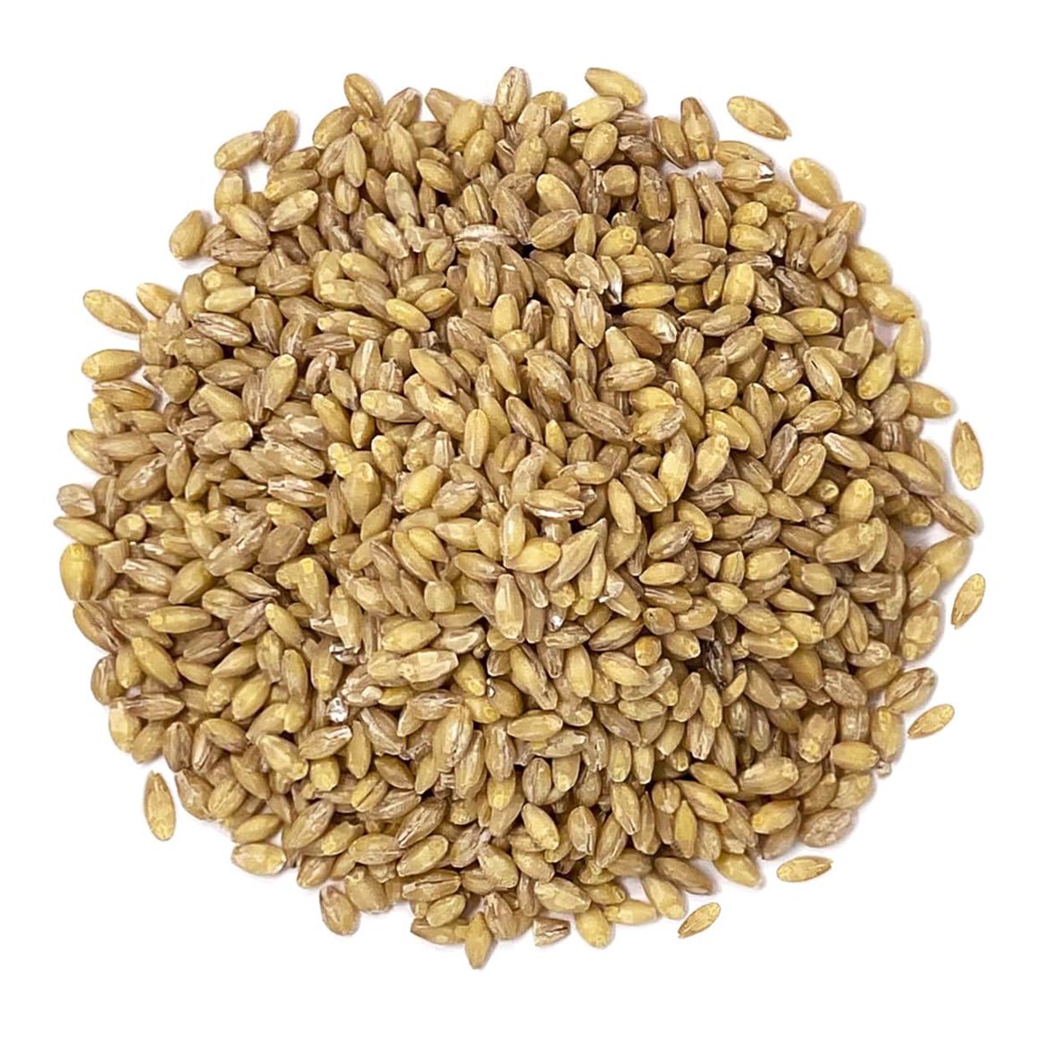 Organic Hulled Barley/ আস্ত যব