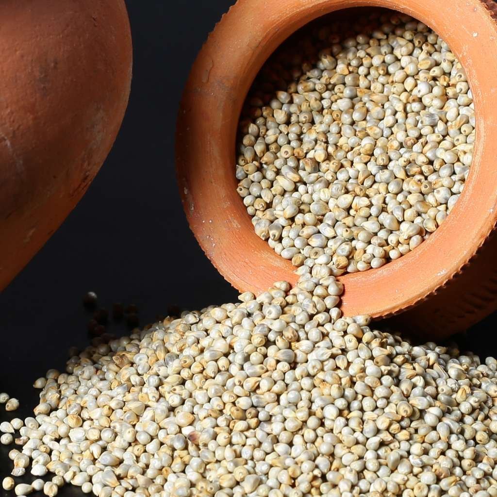 Whole Pearl Millet/ বাজরা