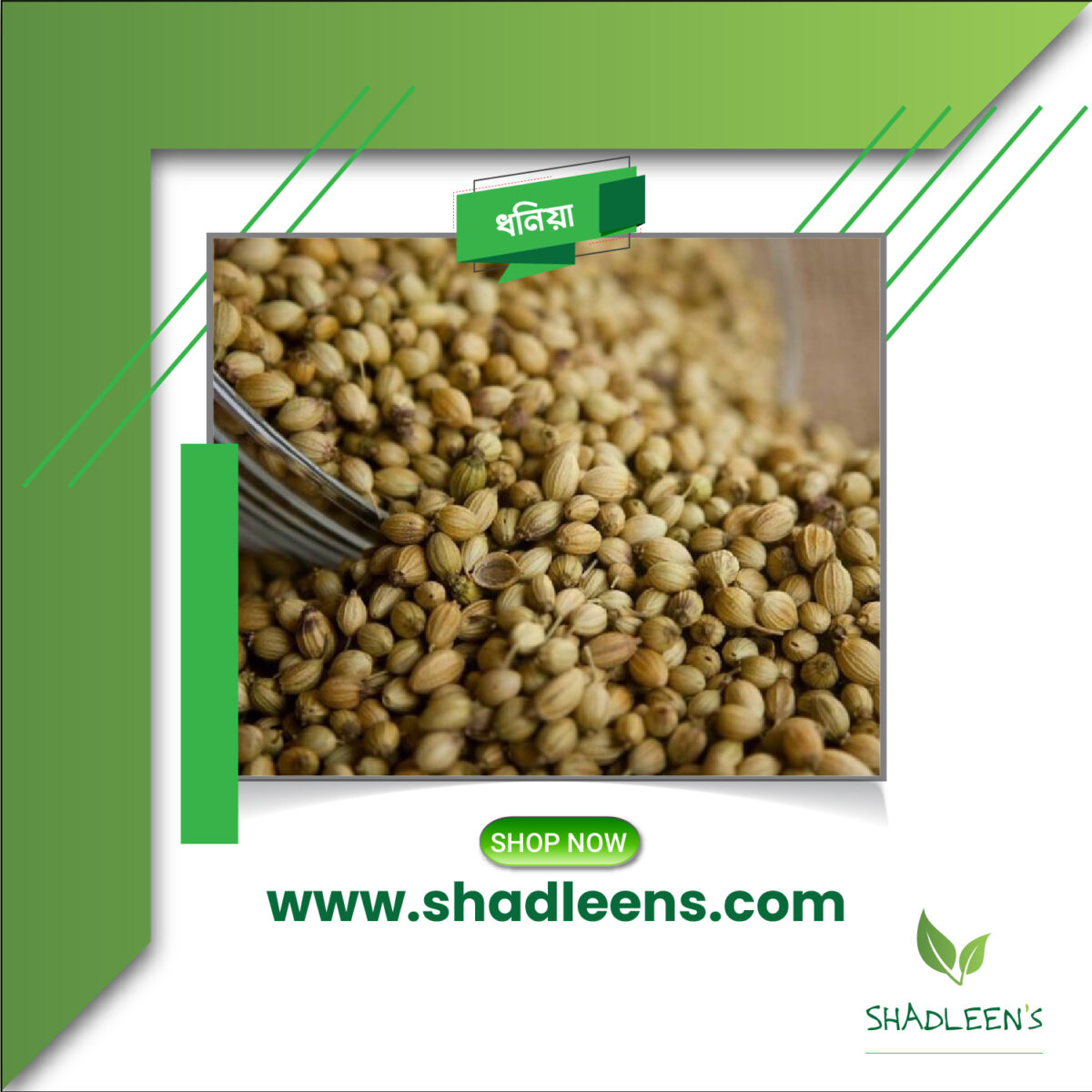 Coriander Seeds/ধনিয়া - Image 1