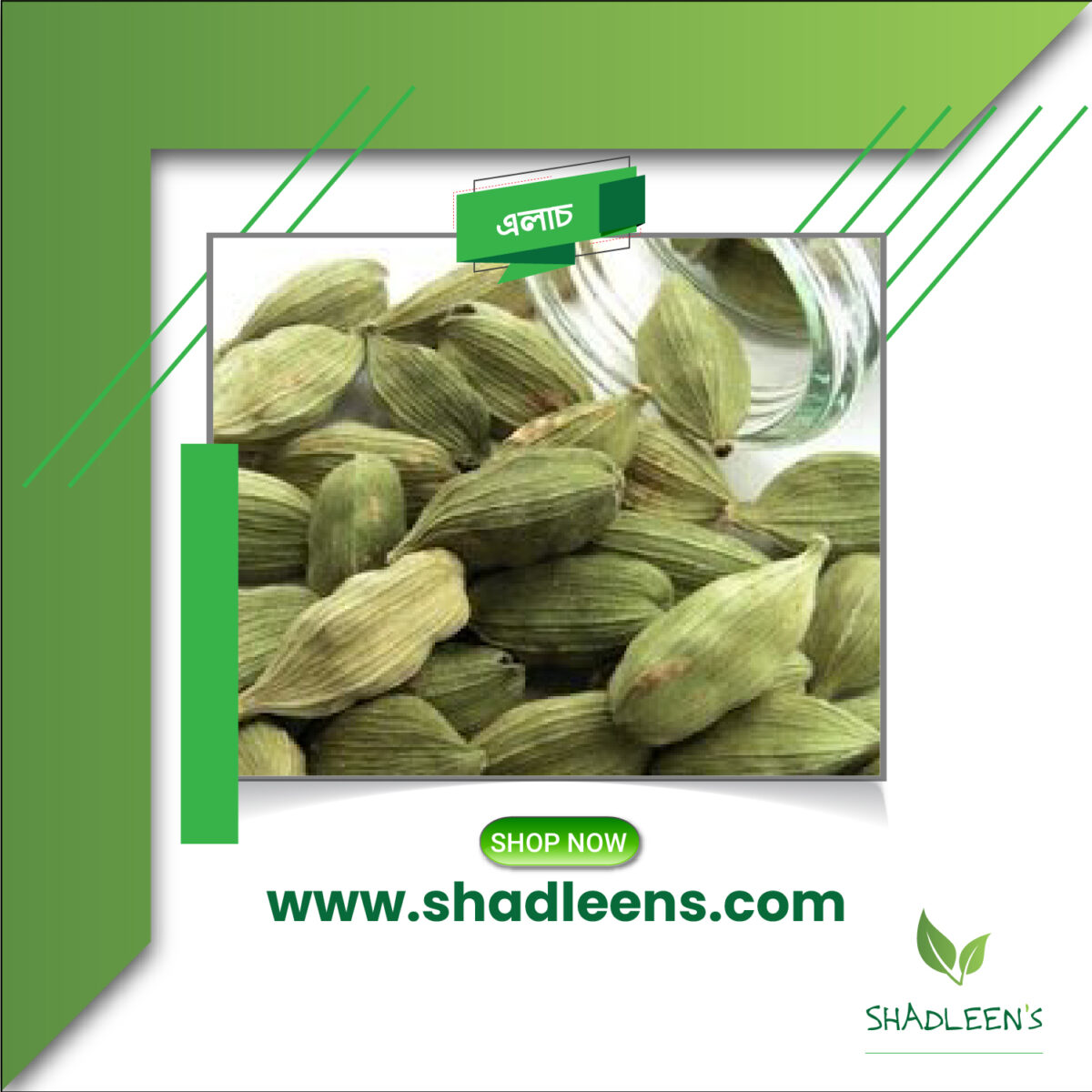 Green cardamom