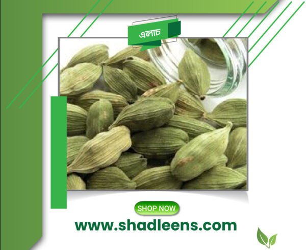 Green cardamom