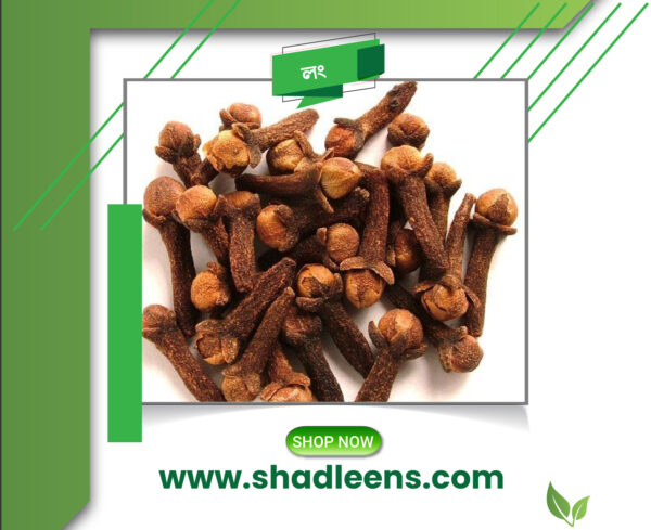 লং/Clove