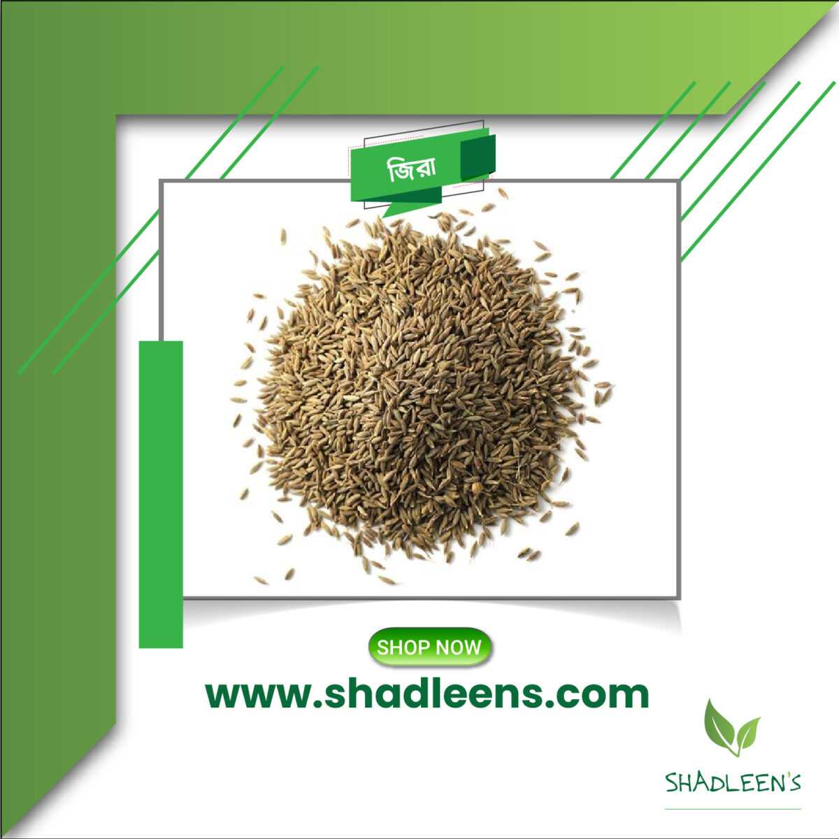 Cumin Seeds /জিরা - Image 1