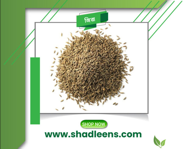 Cumin Seeds /জিরা