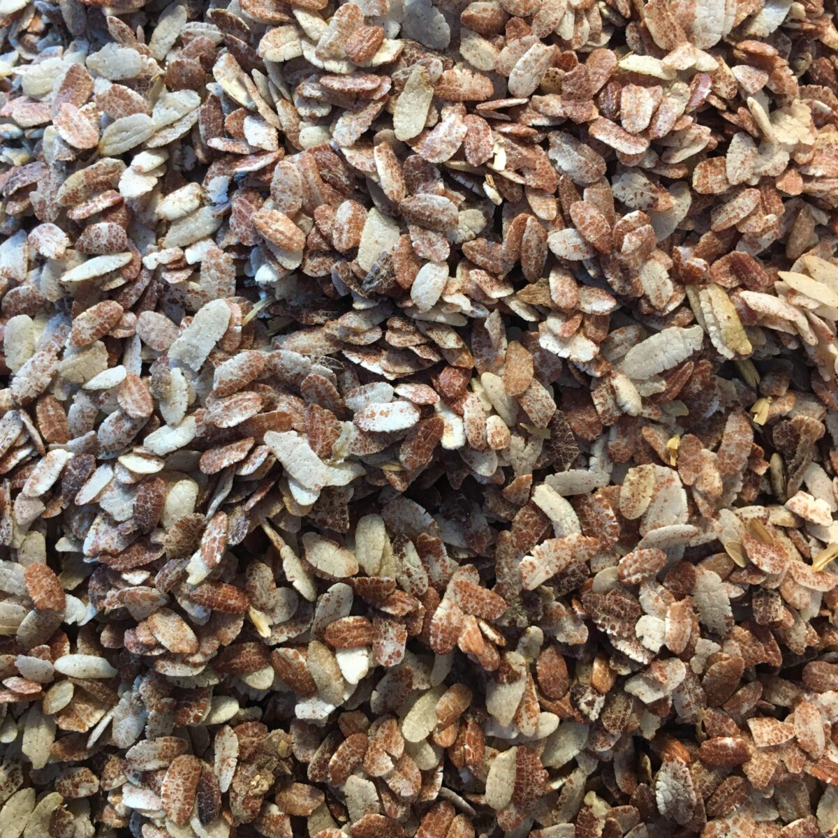 Red Flattened Rice (Lal Chira)