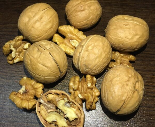 whole walnut
