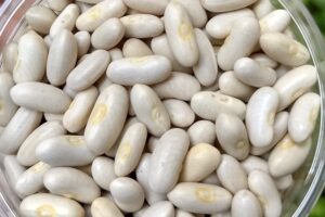 White kidney beans