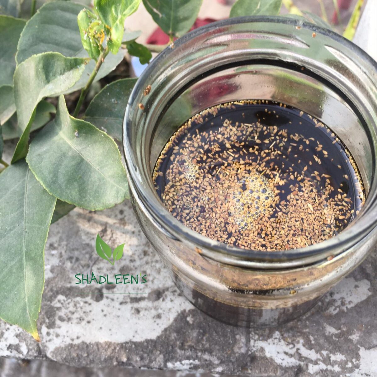 Organic Carom Seeds Oil/ আজওয়াইন তেল - Image 2
