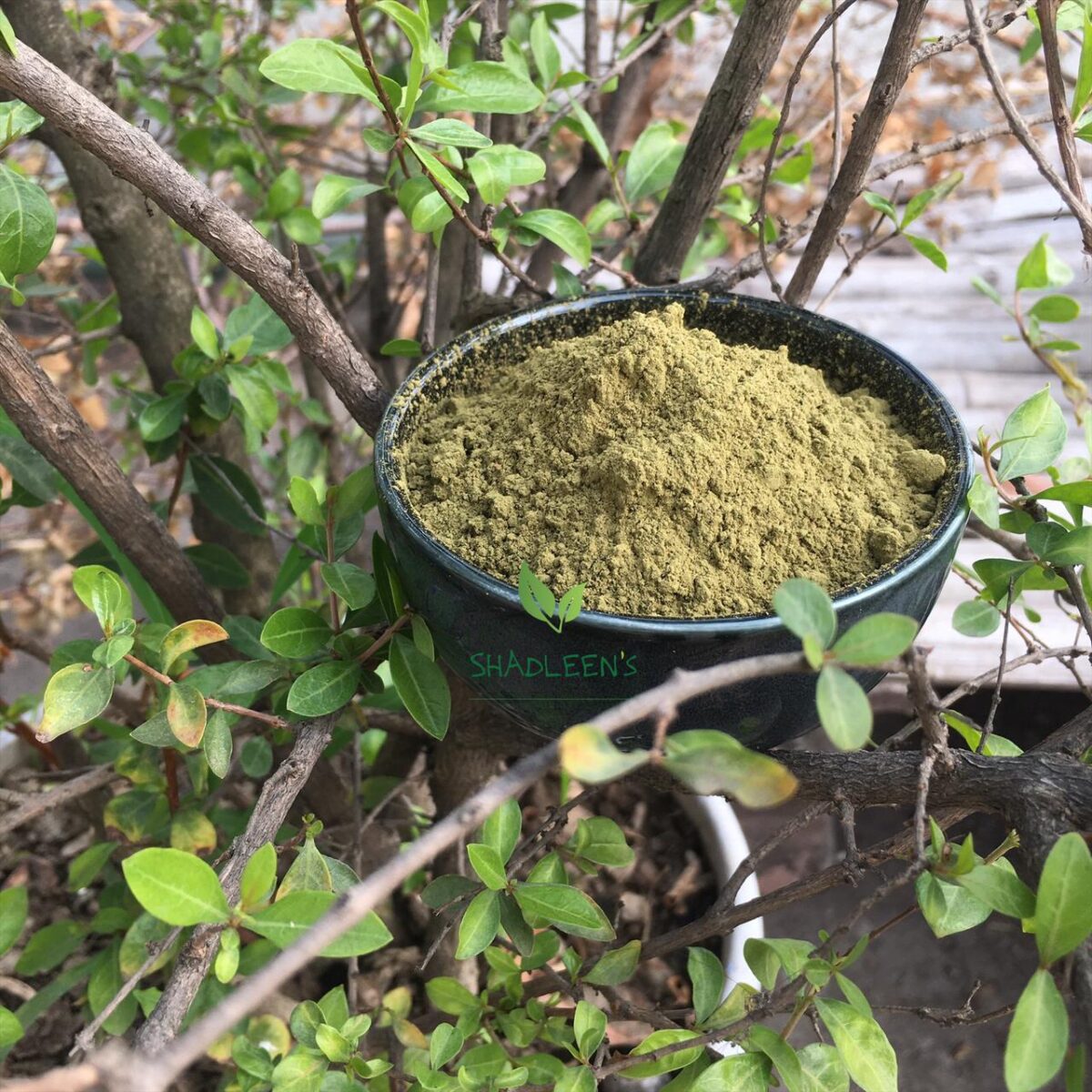 Organic Henna Powder 100g