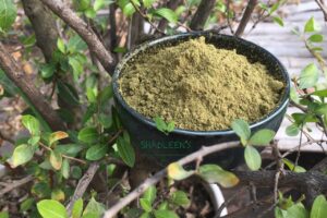 Organic Henna Powder 100g