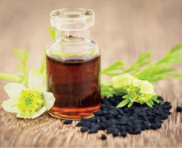 Black Seeds Oil 25ml
