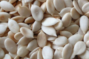 Watermelon seed
