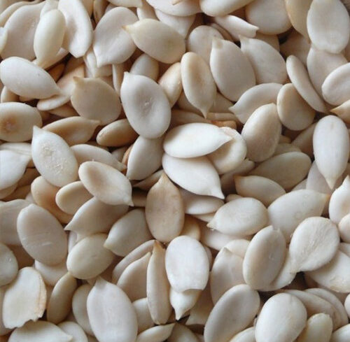 Watermelon seed