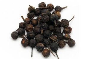 Kabab chini
