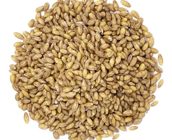 Organic Hulled Barley