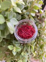 Premium Kashmiri Saffron