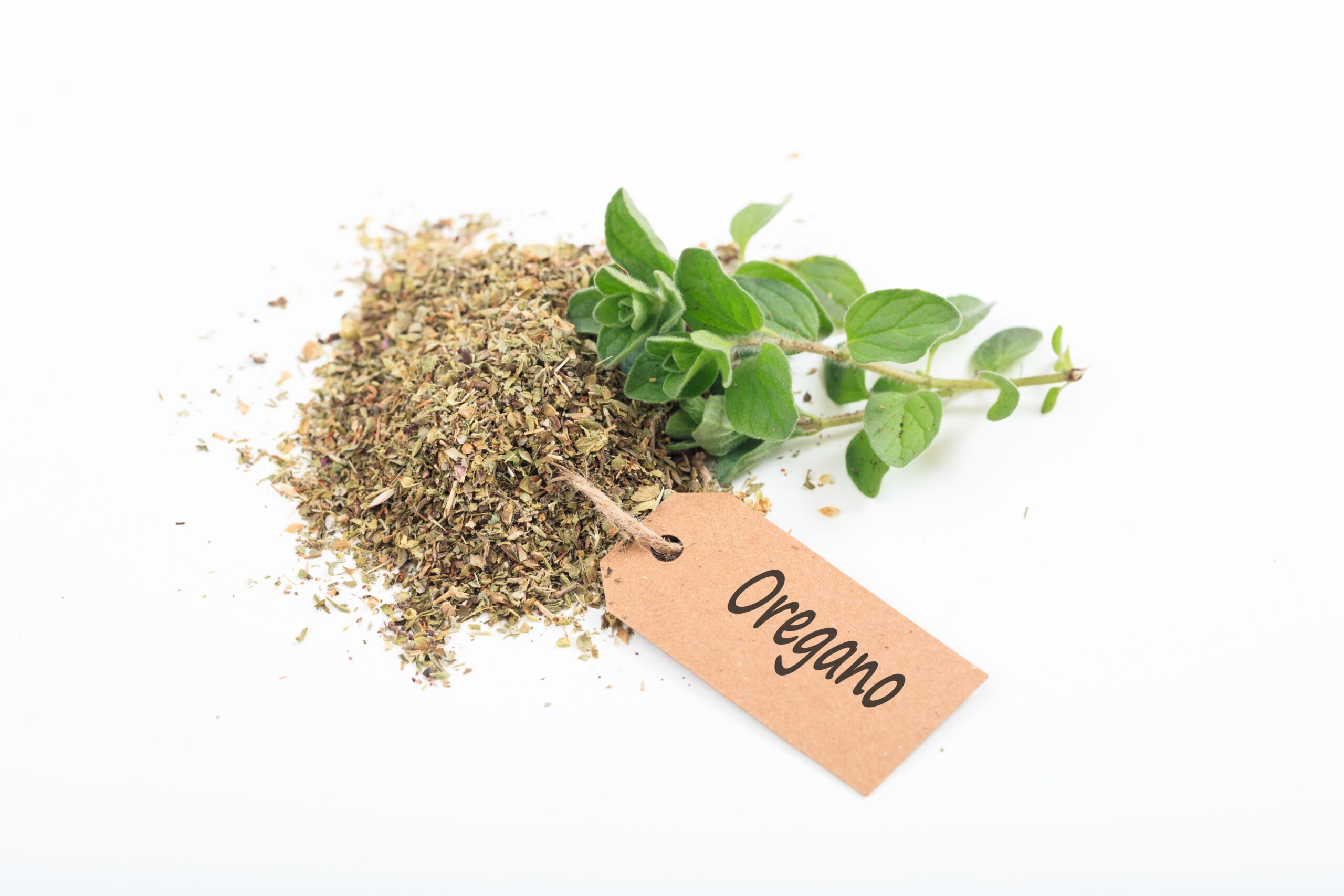 Discover the Remarkable Health Benefits of Oregano: A Powerhouse Herb for a Healthy Lifestyle