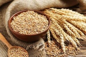 Whole Wheat