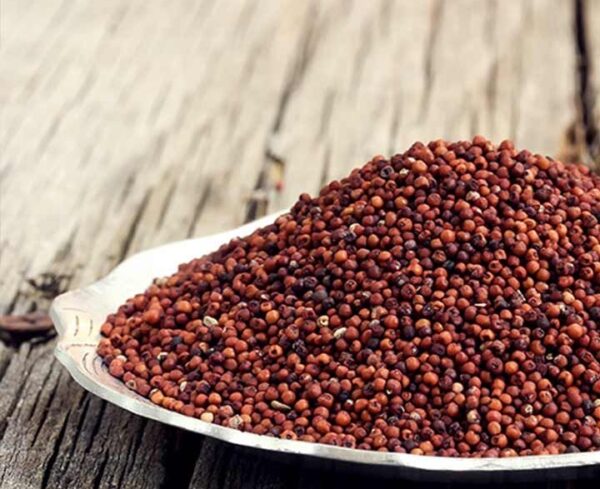 Finger Millet