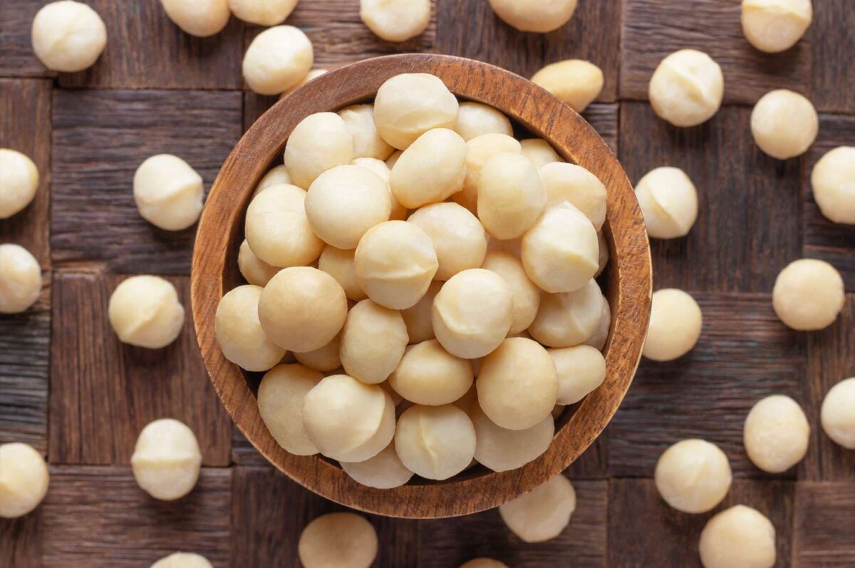 macadamia nuts bangladesh