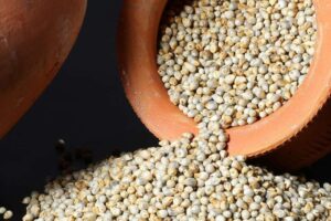 Pearl Millet/ বাজরা