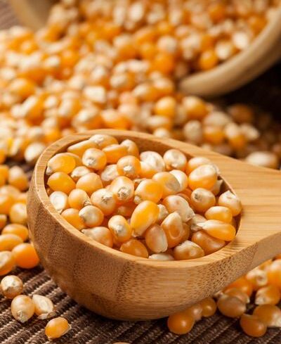 Whole Corn Seed