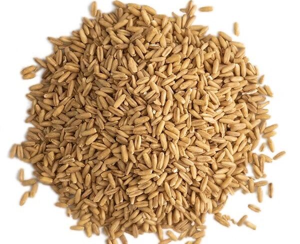 Whole Oats Groats