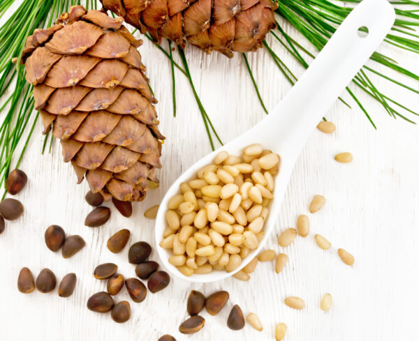 pine nuts