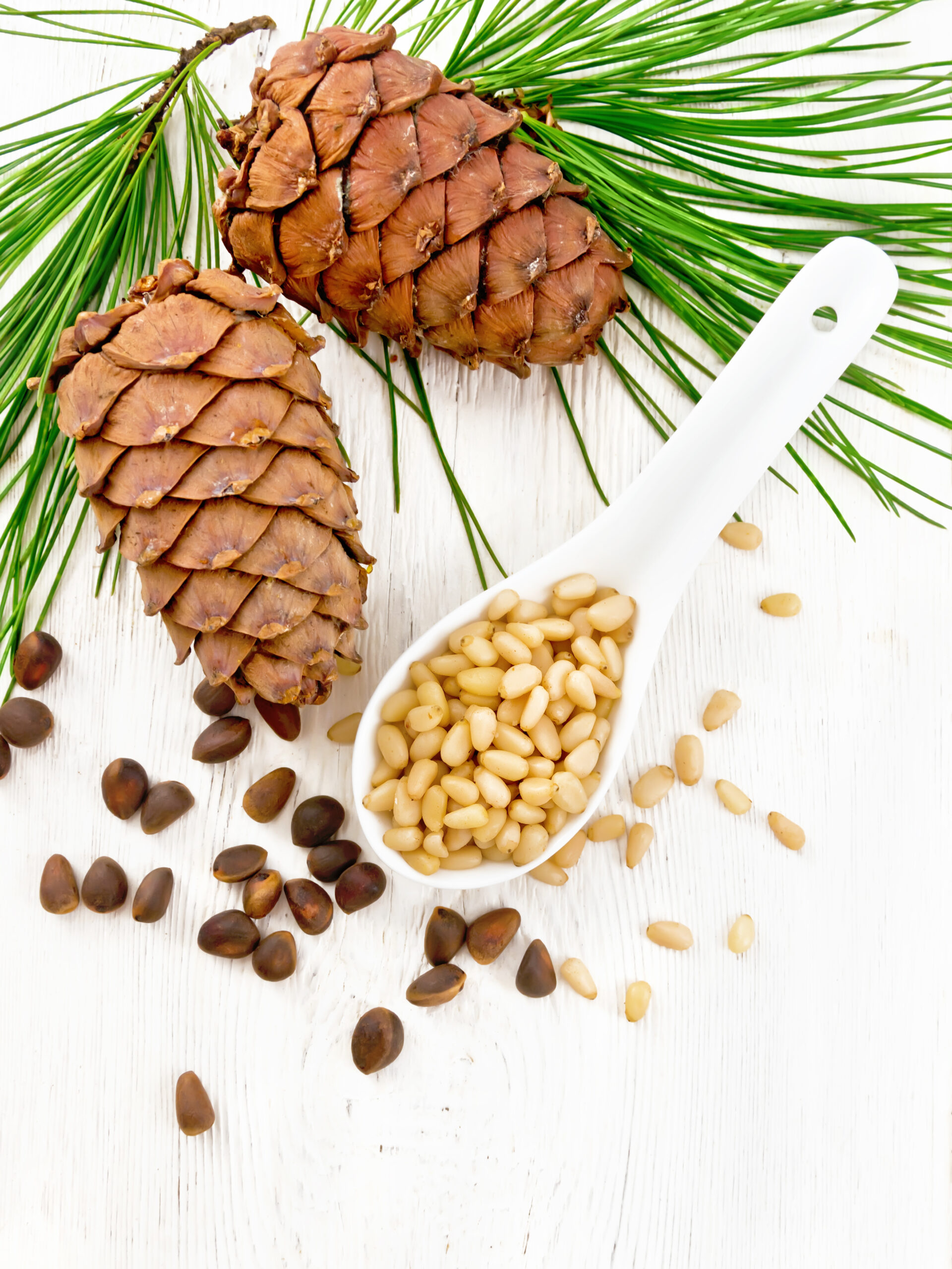 Cedar nuts peeled in spoon on board top pine nuts